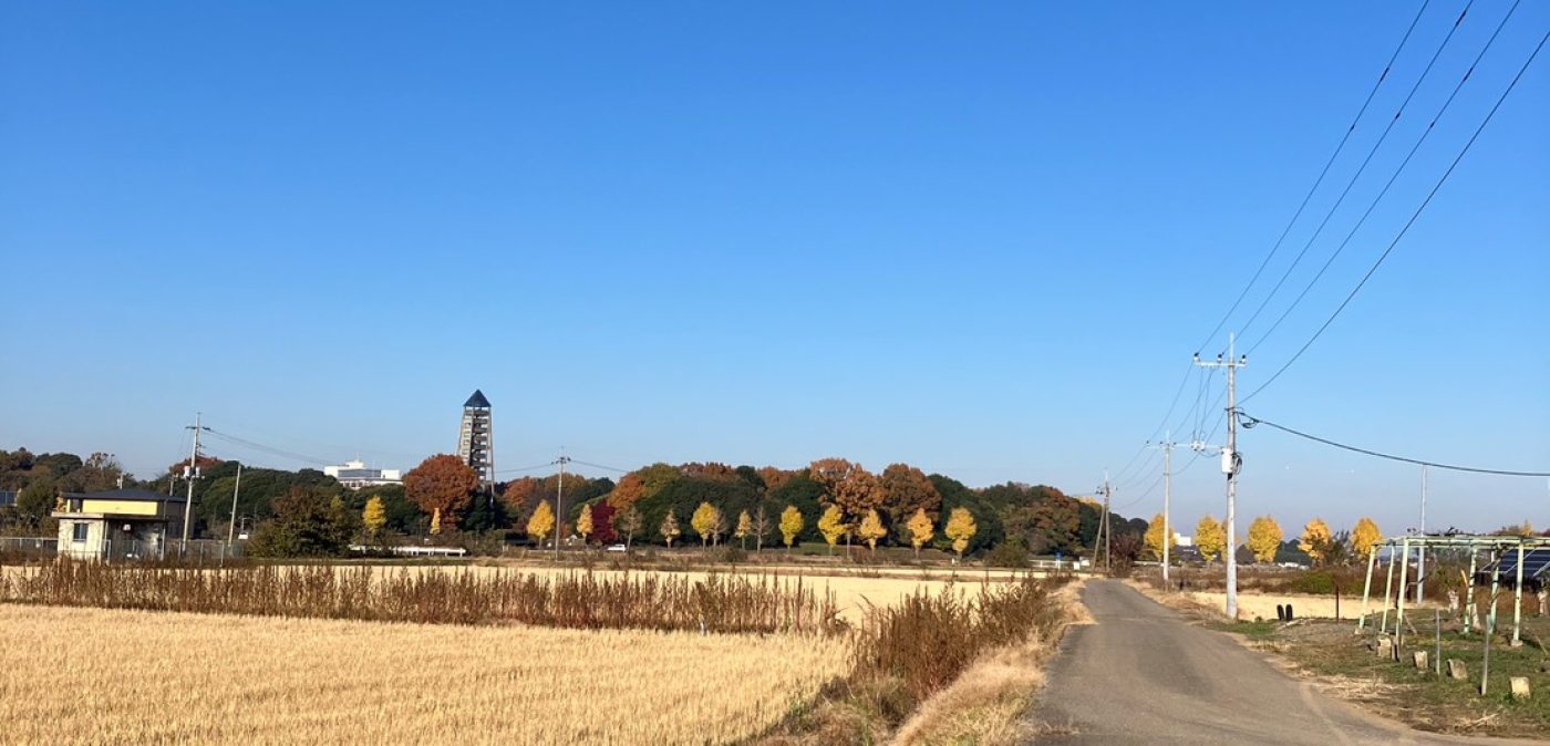 country road