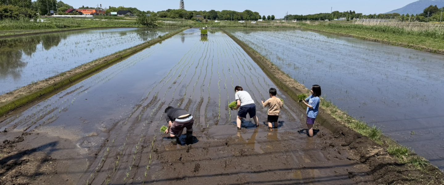 #04　2026年　田植え