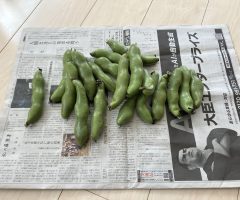 #07　頂いた　そら豆