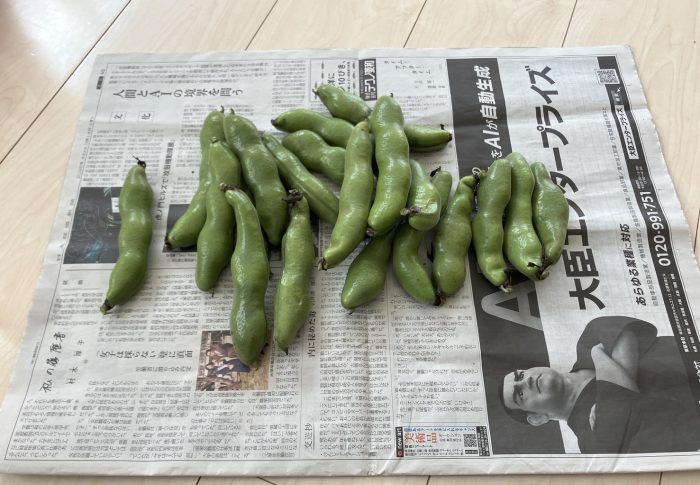 #07　頂いた　そら豆