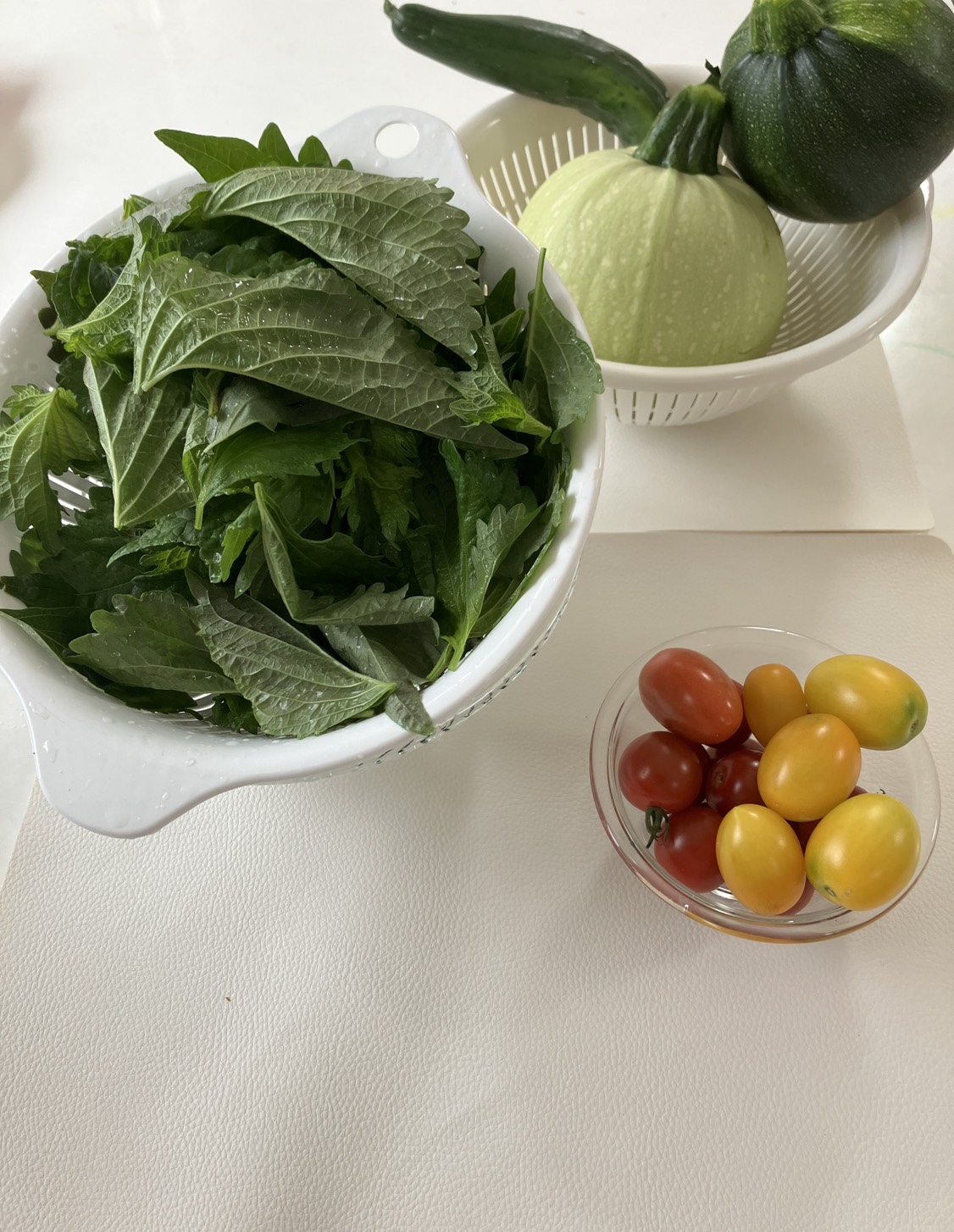収穫した野菜